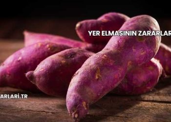 Yer Elmasının Zararları