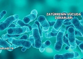 Zatürrenin Vücuda Zararları