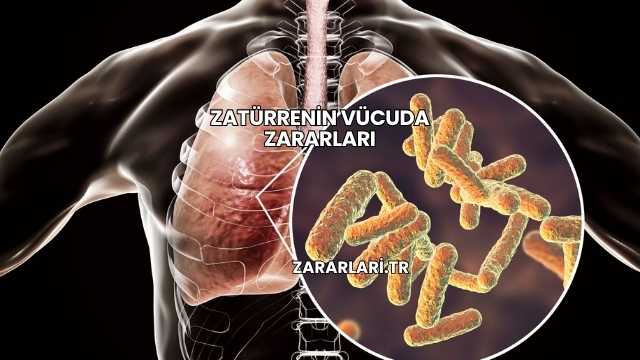 Zatürrenin Vücuda Zararları