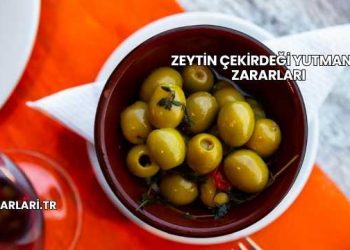 Zeytin Çekirdeği Yutmanın Zararları
