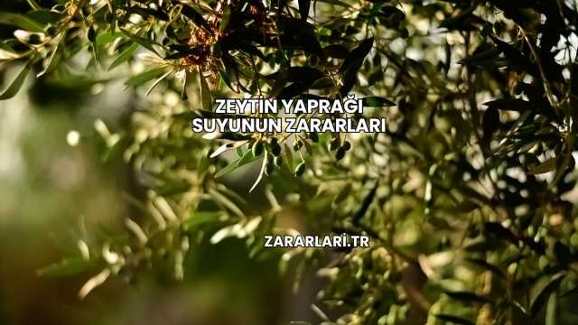 Zeytin Yaprağı Suyunun Zararları