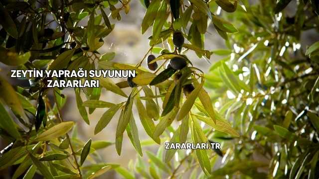 Zeytin Yaprağı Suyunun Zararları