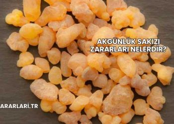 Akgünlük Sakızı Zararları Nelerdir?