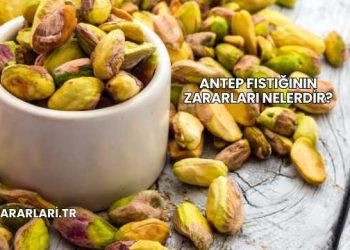 Antep Fıstığının Zararları Nelerdir?
