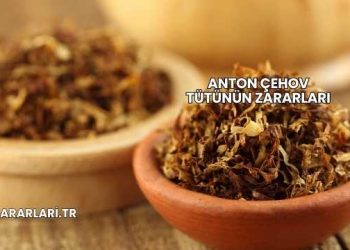 Anton Çehov Tütünün Zararları