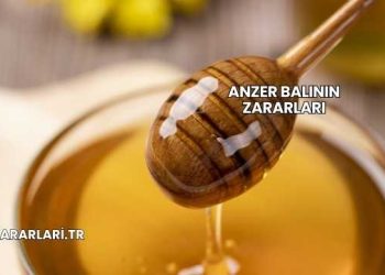Anzer Balının Zararları