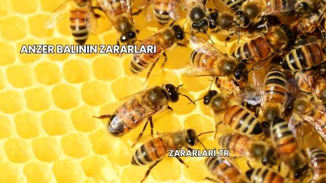 Anzer Balının Zararları