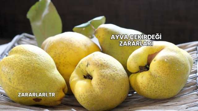 Ayva Çekirdeği Zararları