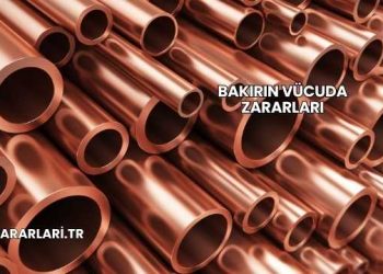 Bakırın Vücuda Zararları