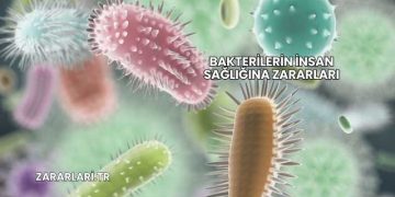 Bakterilerin İnsan Sağlığına Zararları