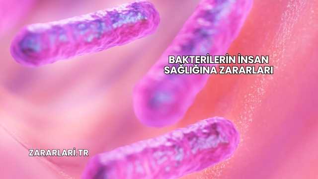 Bakterilerin İnsan Sağlığına Zararları
