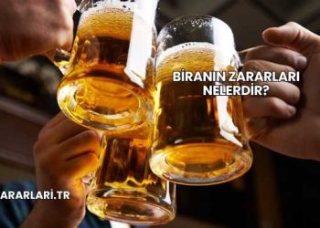 Biranın Zararları Nelerdir?