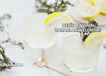 Kekik Çayının Zararları Nelerdir?