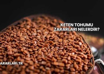 Keten Tohumu Zararları Nelerdir?