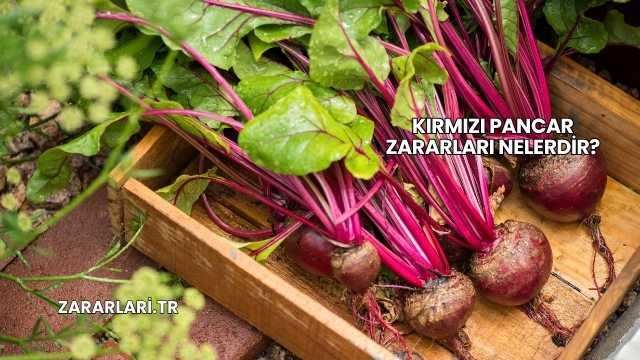 Kırmızı Pancar Zararları Nelerdir?