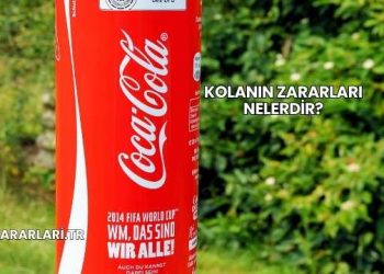 Kolanın Zararları Nelerdir?