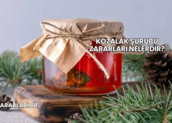 Kozalak Şurubu Zararları Nelerdir?