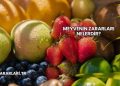 Meyvenin Zararları Nelerdir?