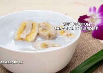 Muzlu Sütün Zararları Nelerdir?