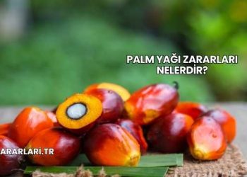 Palm Yağı Zararları Nelerdir?