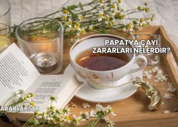 Papatya Çayı Zararları Nelerdir?