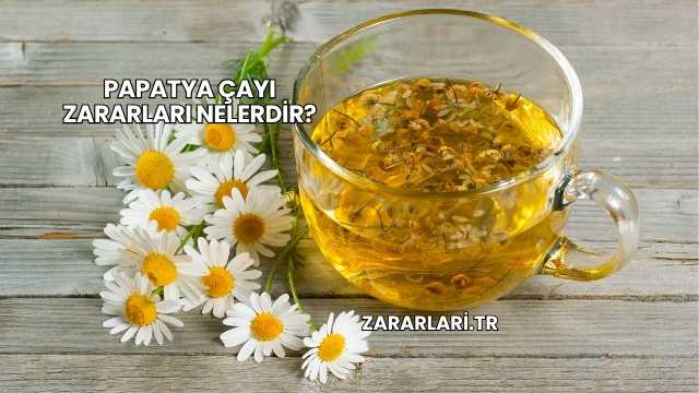 Papatya Çayı Zararları Nelerdir?