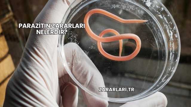Parazitin Zararları Nelerdir?