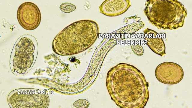 Parazitin Zararları Nelerdir?