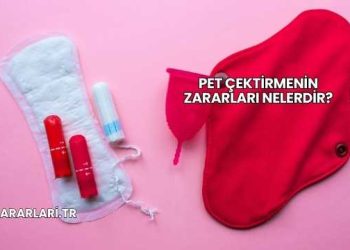 Pet Çektirmenin Zararları Nelerdir?