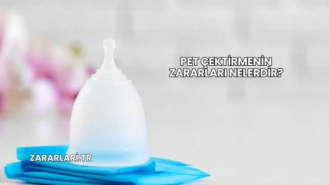 Pet Çektirmenin Zararları Nelerdir?