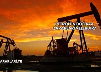Petrolün Doğaya Zararları Nelerdir?
