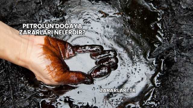 Petrolün Doğaya Zararları Nelerdir?