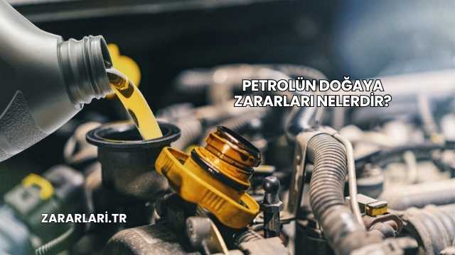 Petrolün Doğaya Zararları Nelerdir?