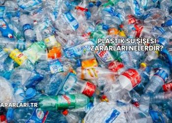 Plastik Su Şişesi Zararları Nelerdir?