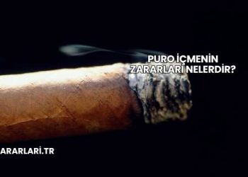 Puro İçmenin Zararları Nelerdir?