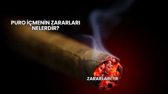 Puro İçmenin Zararları Nelerdir?