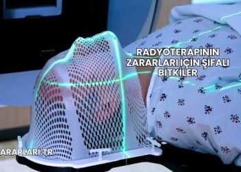 Radyoterapinin Zararları İçin Şifalı Bitkiler