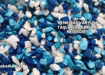 Renkli Akvaryum Taşları Zararları Nelerdir?