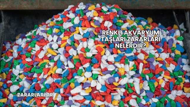 Renkli Akvaryum Taşları Zararları Nelerdir?