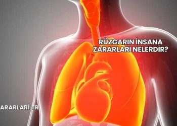 Rüzgarın İnsana Zararları Nelerdir?