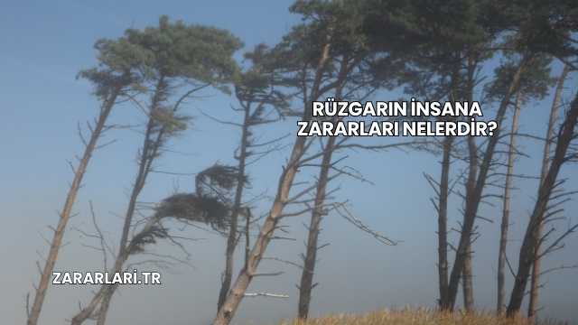 Rüzgarın İnsana Zararları Nelerdir?