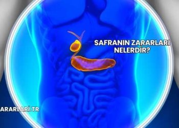 Safranın Zararları Nelerdir?