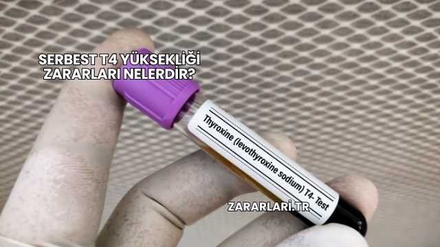 Serbest T4 Yüksekliği Zararları Nelerdir?