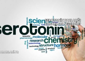 Serotonin Fazlalığı Zararları Nelerdir?