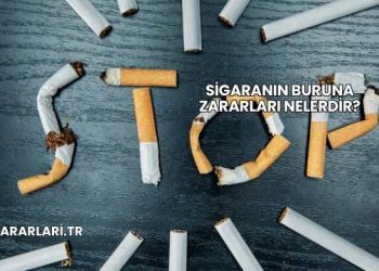 Sigaranın Buruna Zararları Nelerdir?