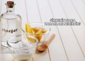 Sirkenin Saça Zararları Nelerdir?