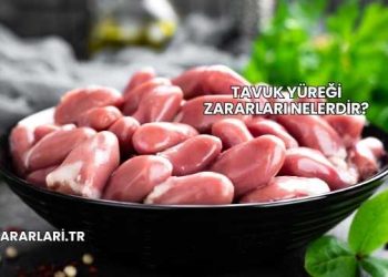 Tavuk Yüreği Zararları Nelerdir?