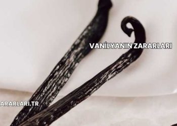 Vanilyanın Zararları