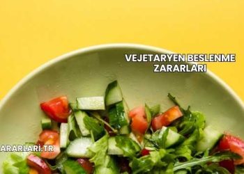 Vejetaryen Beslenme Zararları