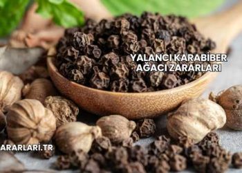 Yalancı Karabiber Ağacı Zararları